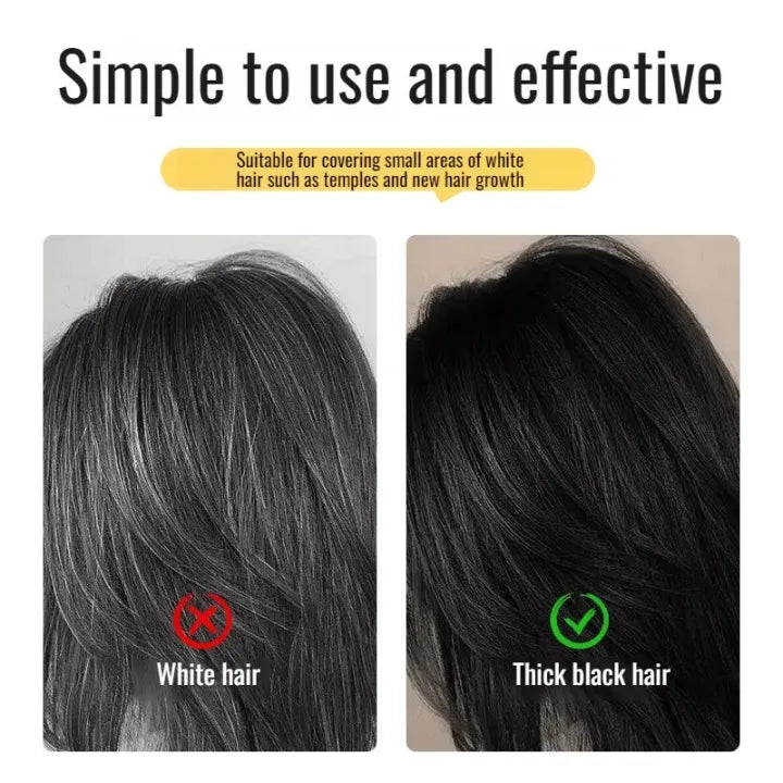 Japanese Instant Hair Colour Stick with Comb